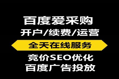 竞价推广公司案例：实战技巧与策略
